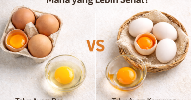 Kenapa Telur Ayam Kampung Lebih Mahal