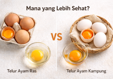 Kenapa Telur Ayam Kampung Lebih Mahal